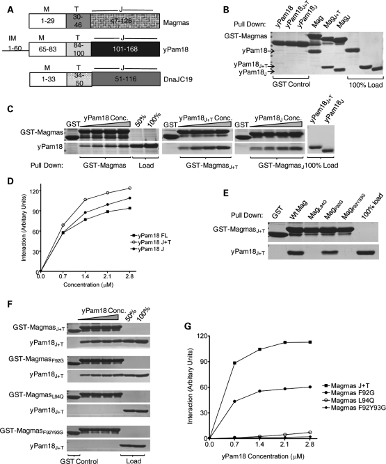 Figure 6.