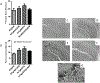 Figure 3-