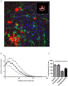 Figure 4-