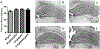 Figure 2-