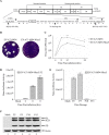 FIG 2