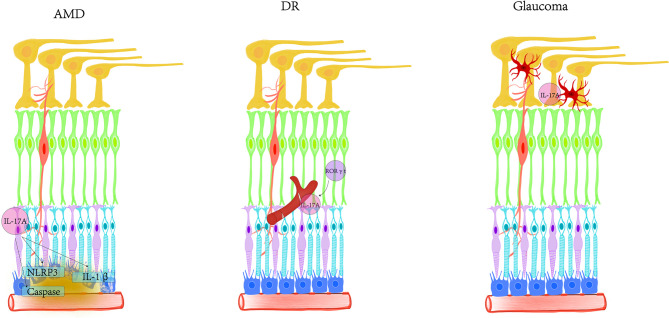 Figure 3