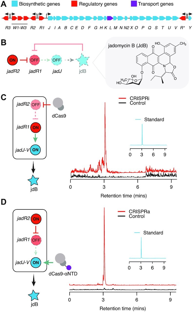 Figure 3.