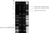 FIG. 6.
