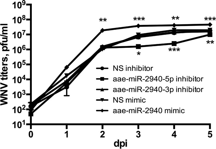 FIG 5