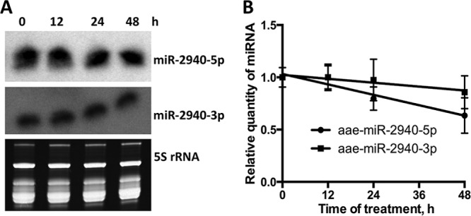 FIG 4