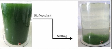 Graphical abstract