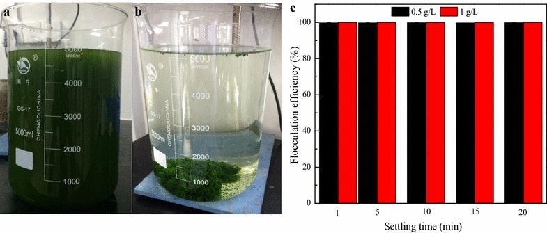 Fig. 1