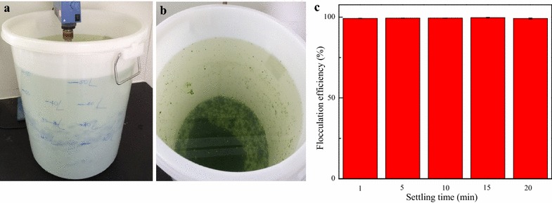 Fig. 2