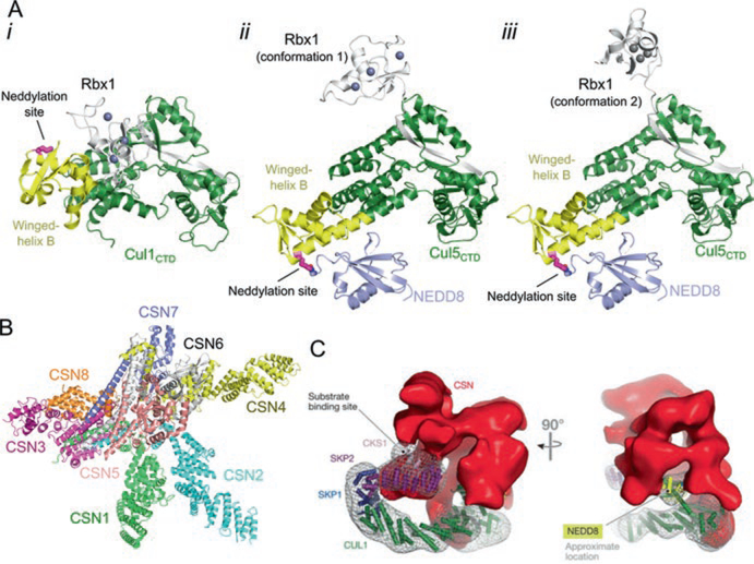 Fig. 12.3