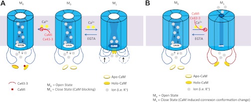 Fig. 6.