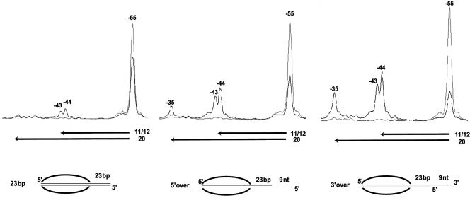 FIG. 6.