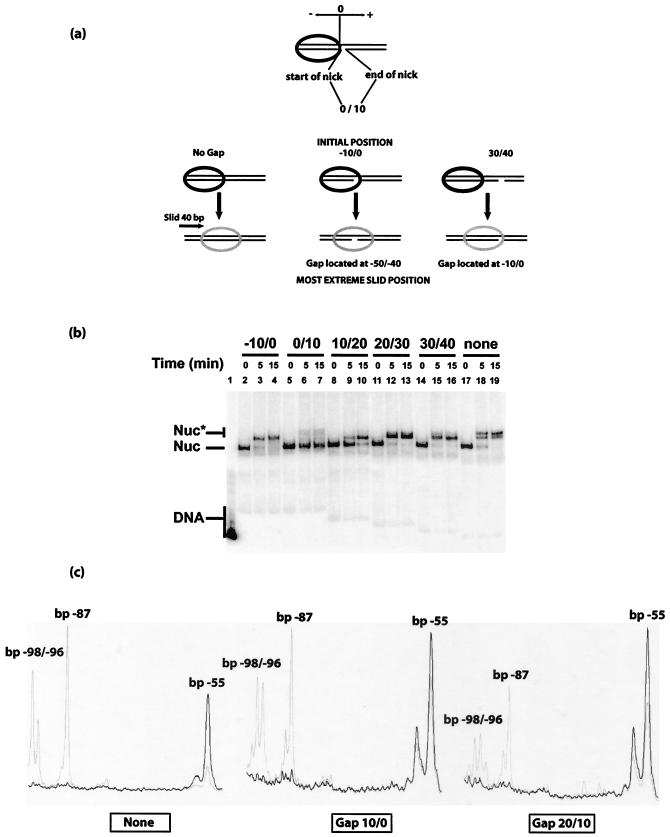 FIG. 7.