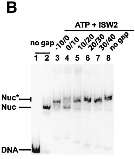 FIG. 8.