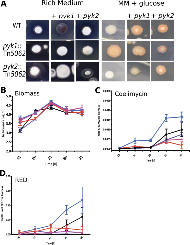 FIG 2 