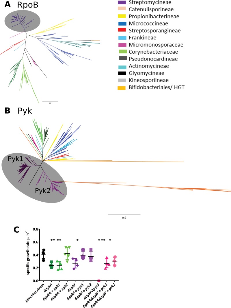 FIG 1 