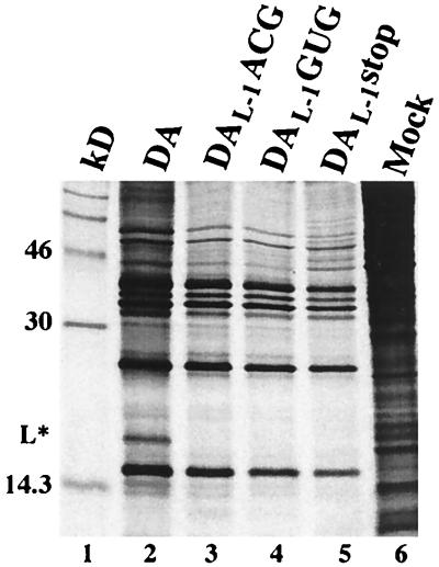 FIG. 7