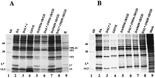 FIG. 8