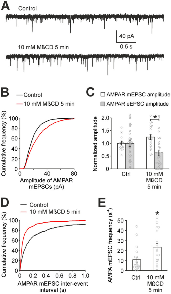 Figure 6