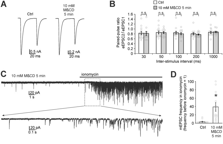 Figure 7