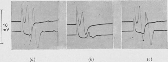 Fig. 11