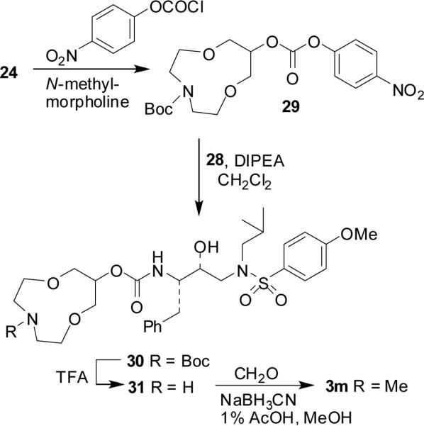 Scheme 8