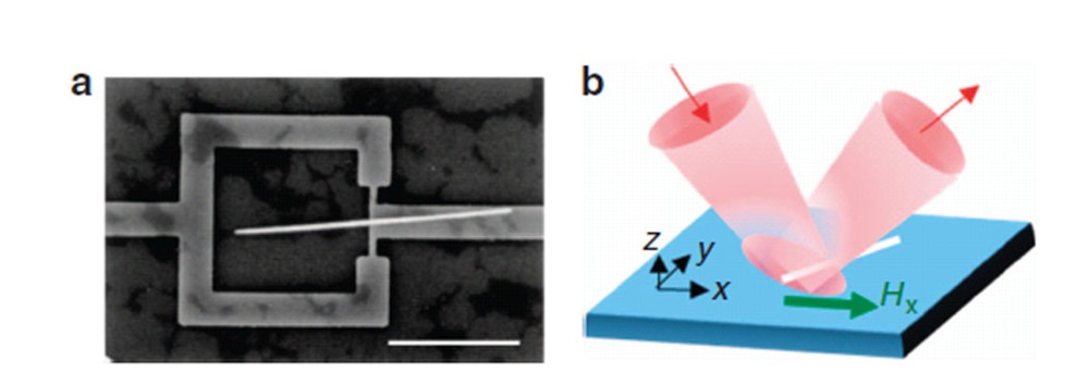 MAGNETIC CHARACTERIZATION.