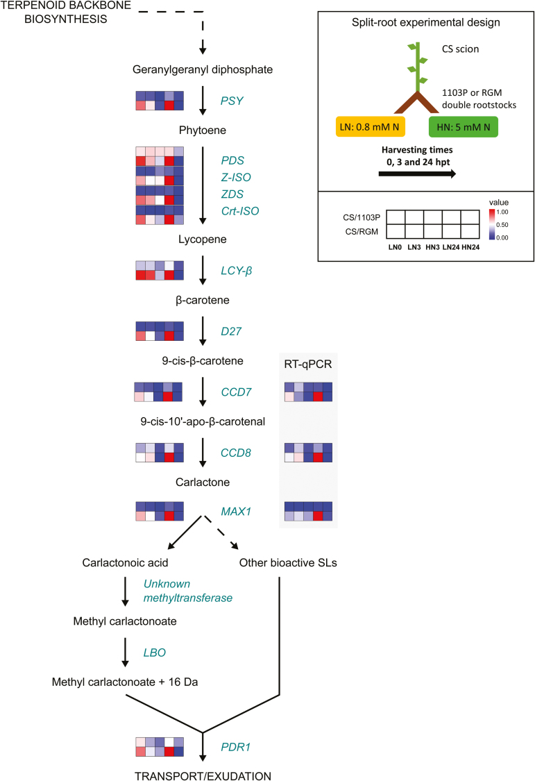 Fig. 2.