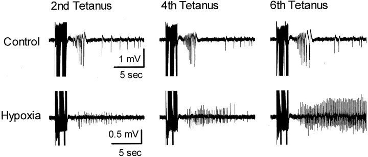 Fig. 9.