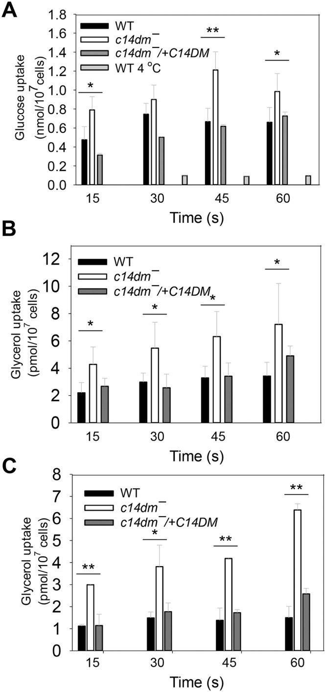 Fig 6