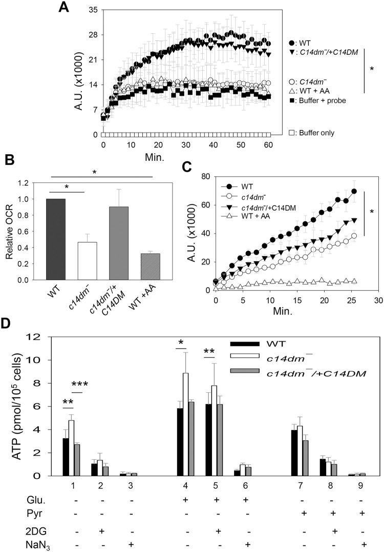 Fig 4