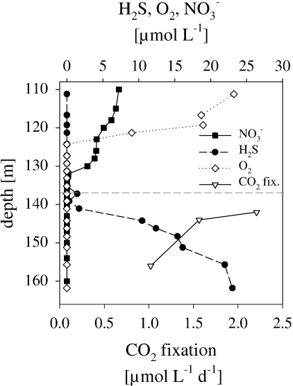 FIG. 1.