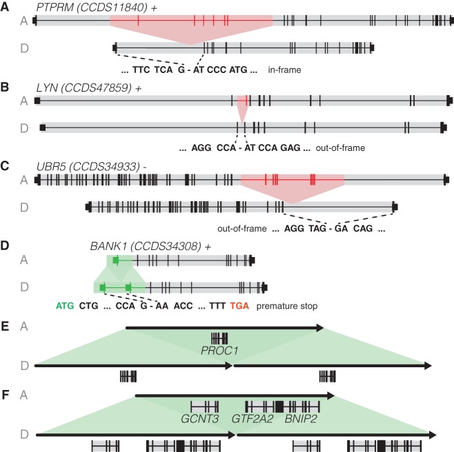 Figure 5.