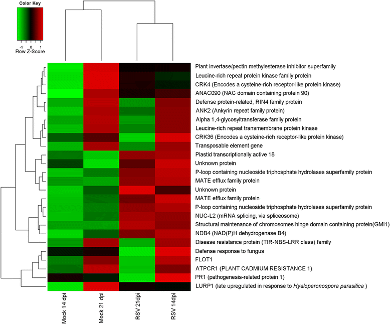 Fig. 6