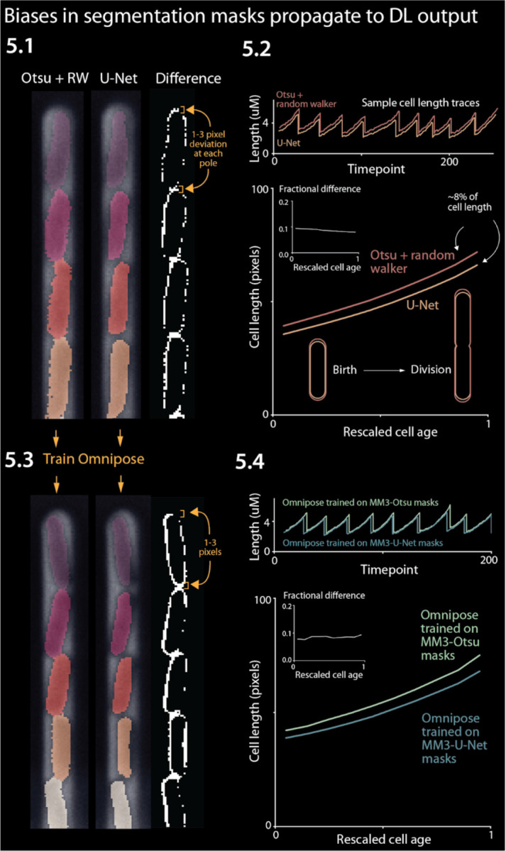 Figure 5: