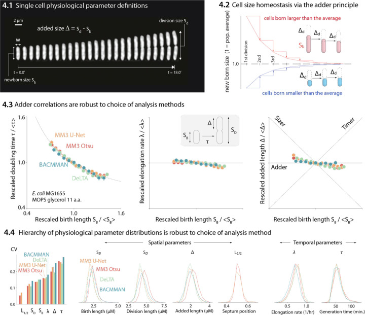 Figure 4: