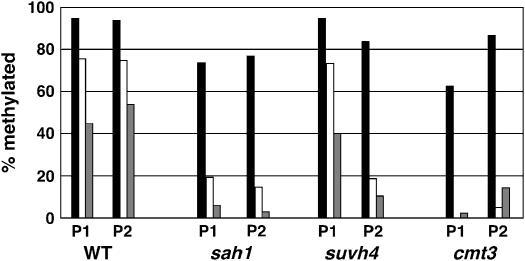 Figure 4.—