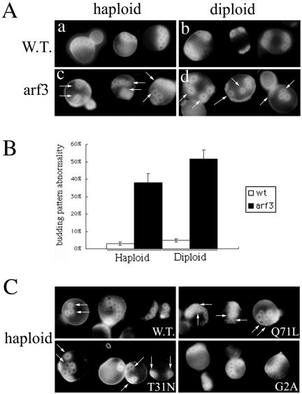 Figure 10.