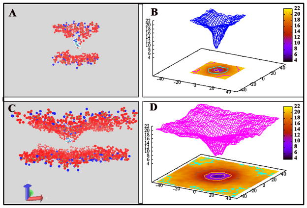 FIG. 7