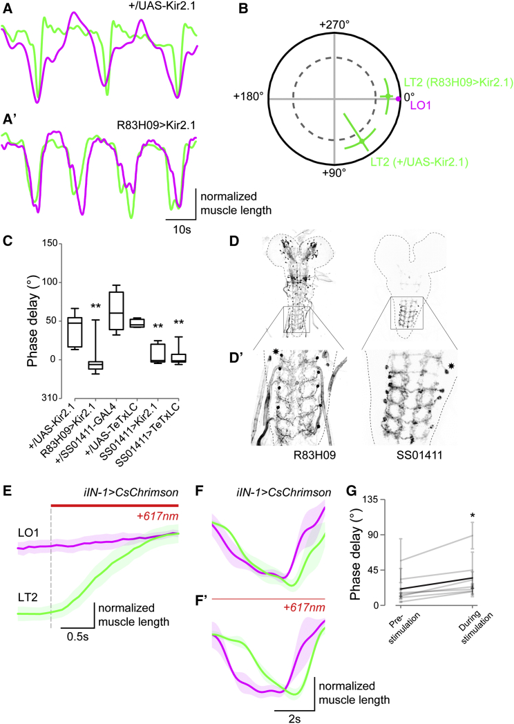 Figure 6