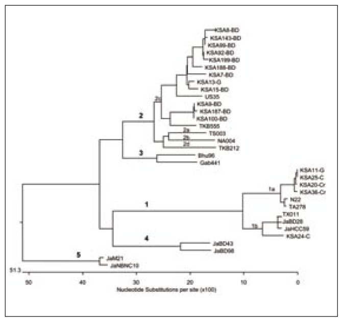 Figure 1