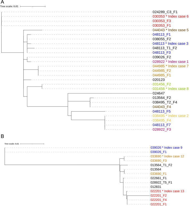 A figure displays a phylogenetic tree of 27 S. Enteritidis and 14 S. Typhimurium recovered during acute disease and post-treatment of index cases and carriers. The time scale indicates 0.01.