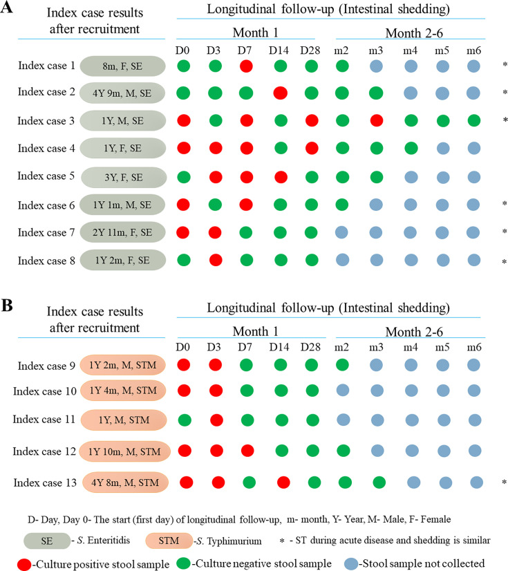 A figure shows a schematic illustration of the longitudinal follow-up of index cases one to thirteen after recruitment for S. Enteritidis and S. Typhimurium during acute disease.