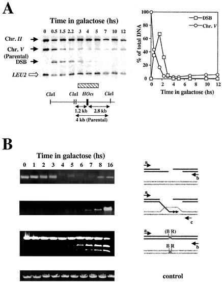 FIG. 7.