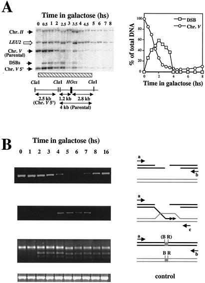 FIG. 8.