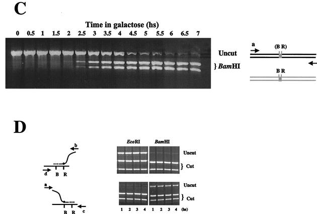 FIG. 4.