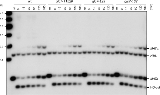 FIG. 5.