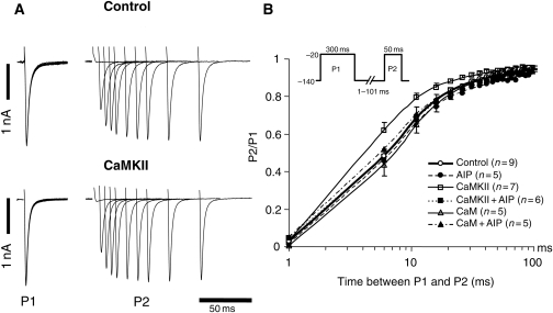 Figure 4