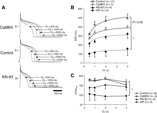 Figure 7