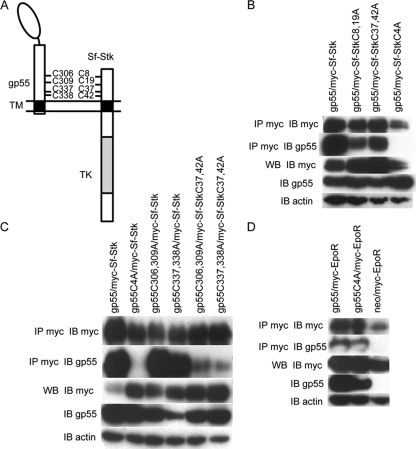 FIG. 5.